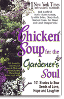 Chicken Soup